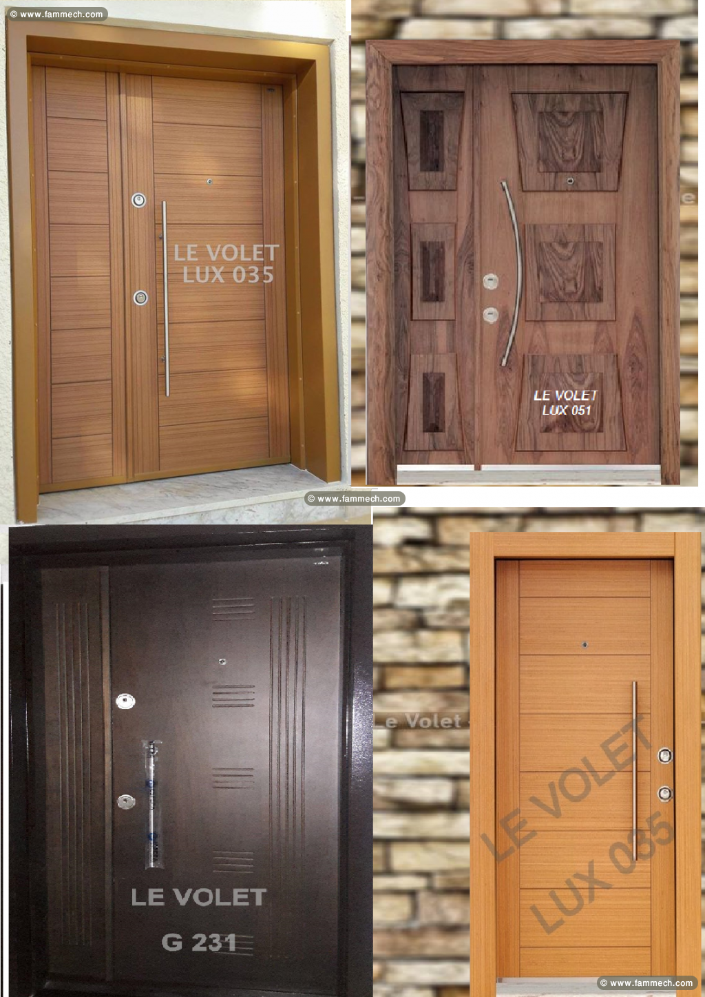 PORTES D'ENTREE BLINDEES LE VOLET