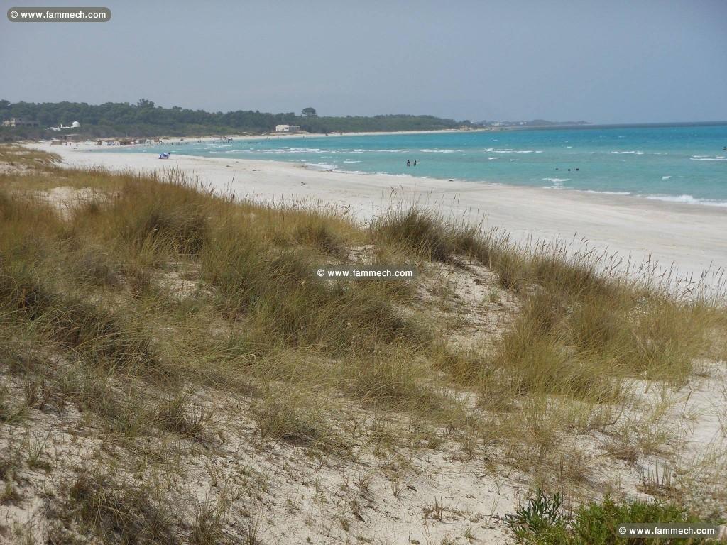Pour investis près de kelibia 