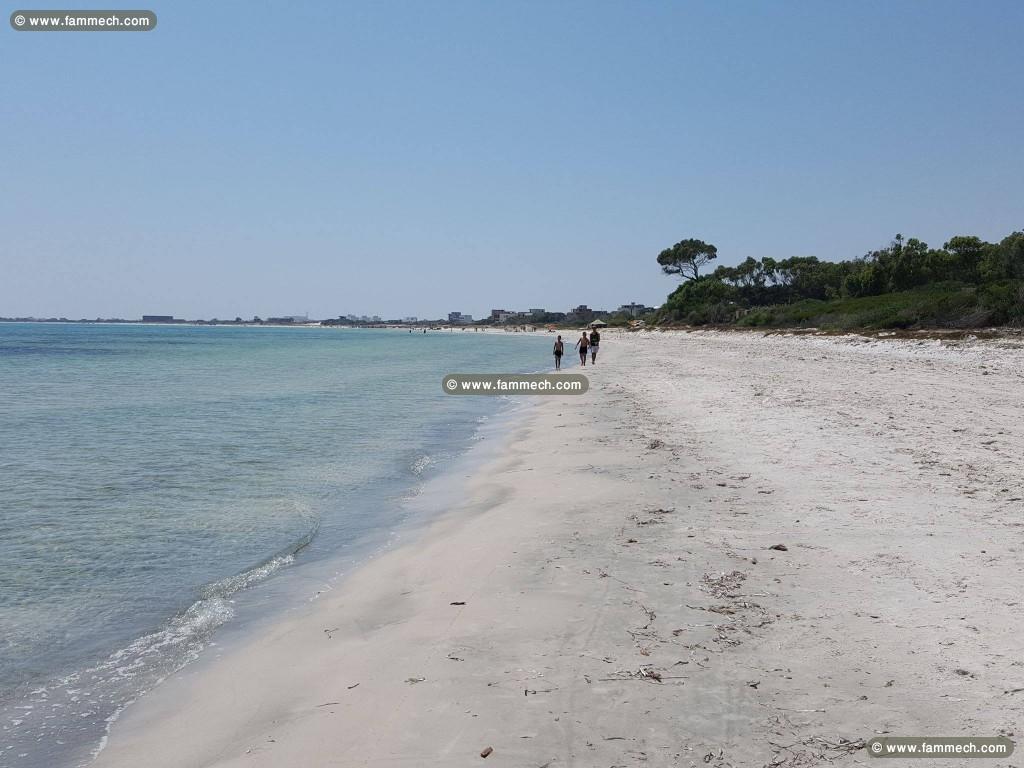 Pour investisseur terrain pied dans l'eau 