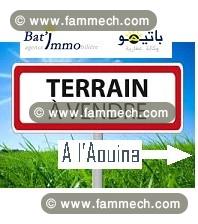 Pour Promoteur Immobilier ou investisseur