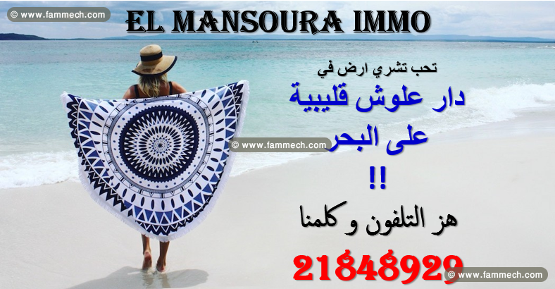 prix choc chez el mansoura immo