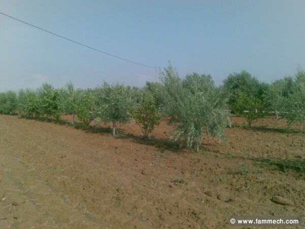 Projet agricole en production a ne pas rater