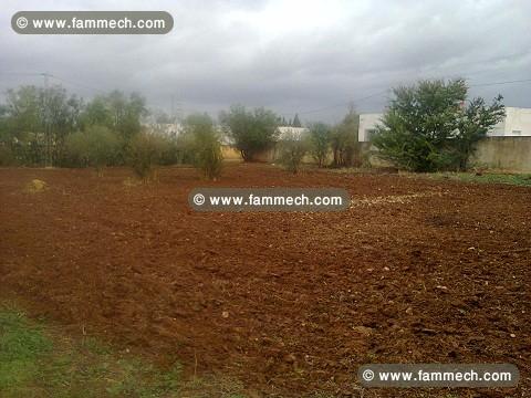 projet agricole + habitation (beja) 66 mille dinar