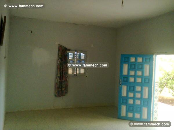 projet agricole + habitation (beja) 66 mille dinar