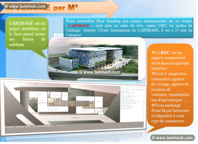 projet carthage