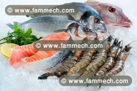 projet import des poissons frais