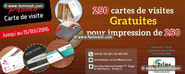 Promotion 250 Cartes de visite + 250 Gratuites: