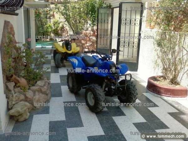 quad berley homologuée 