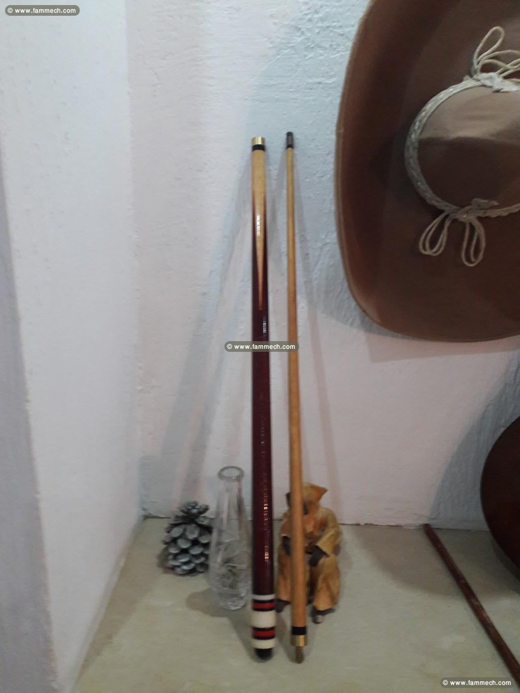 Queue De Billard Pliable 19 OZ