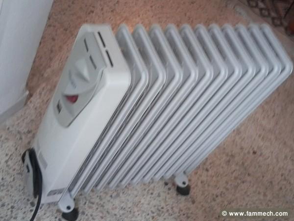 Radiateur éléctrique DELUNGHI  12 éléments .