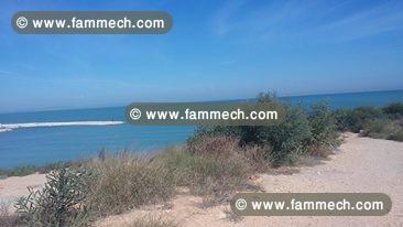 Rare terrain pied dans l'eau CS-5620d0