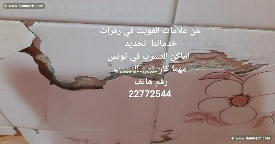 recherche détection tous types de fuite tunisie