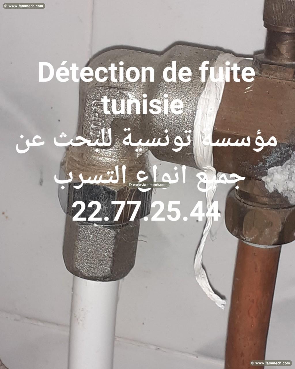 recherche détection tous types de fuite tunisie