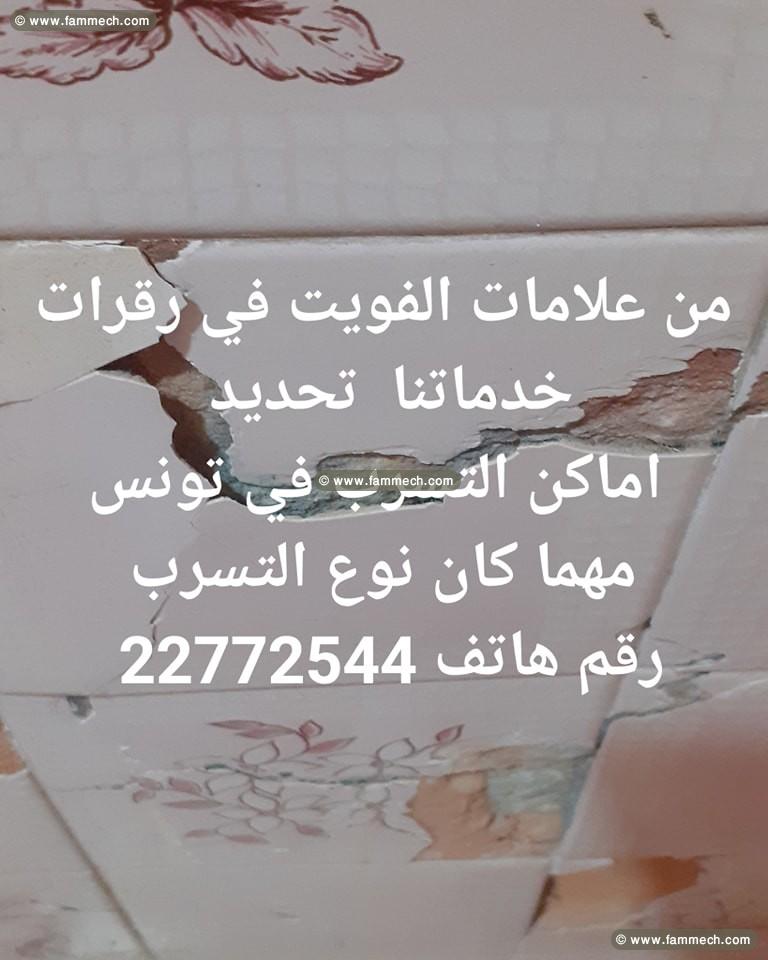 recherche détection tous types de fuite tunisie