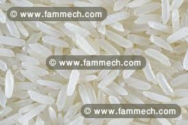 Recherche fournisseur de riz