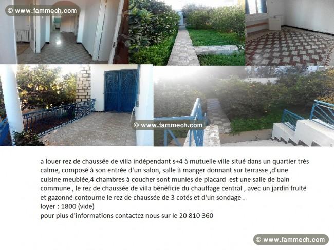 Rez de chaussée de villa S+4 (vide)