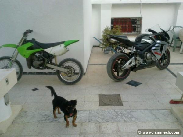 rr 600 modél 2006 