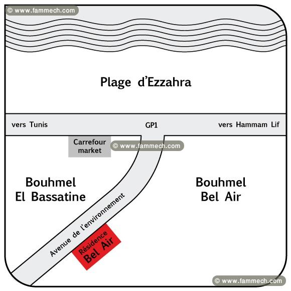 s+3 spacieux bd de l'environnement Boumhel bel air