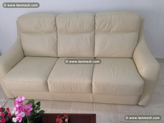 salon cuir