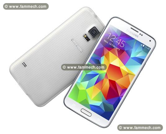 Samsung galaxy S5 sous blestre avec garanti 1 ans