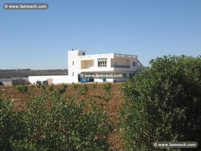 Senya 4 hectare 4000m² avec villa à friguia