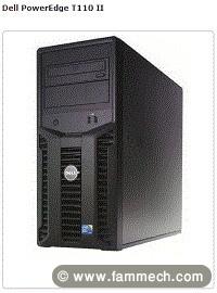 Serveur Dell PowerEdge T110-2
