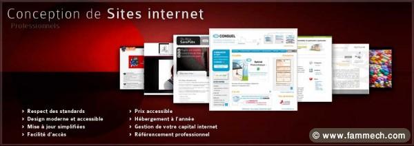 Site professionnel pas cher, Création site Interne