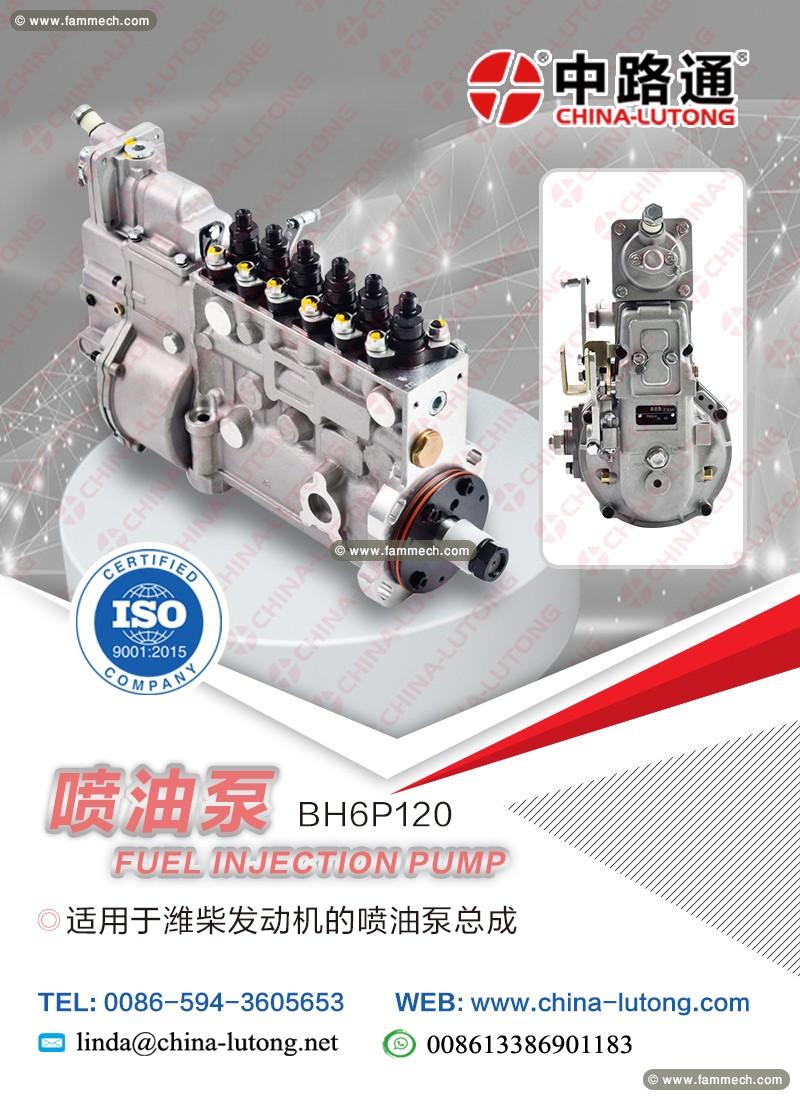 stanadyne electronic fuel injection pump