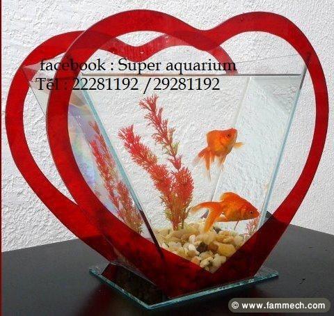 super aquarium