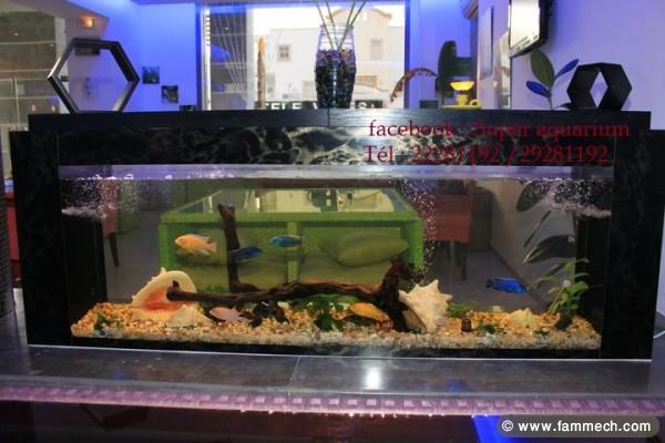 super aquarium