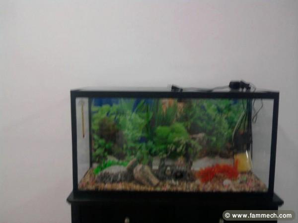 super aquarium