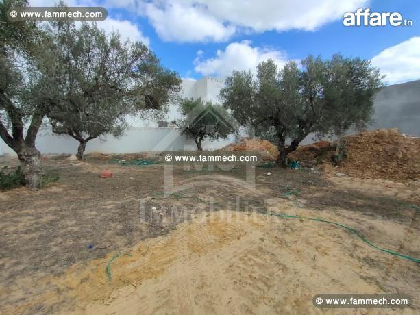 Superbe terrain à vendre à 120 MD 51355351