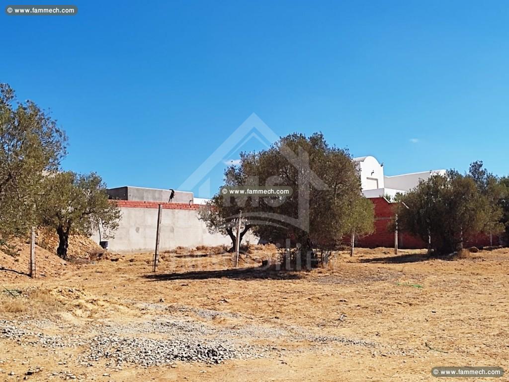 Superbe terrain à vendre à Hammamet Sud 51355351