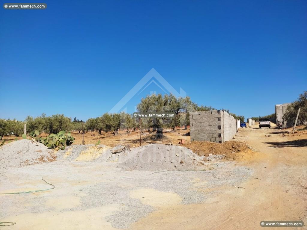 Superbe terrain à vendre à Hammamet Sud 51355351