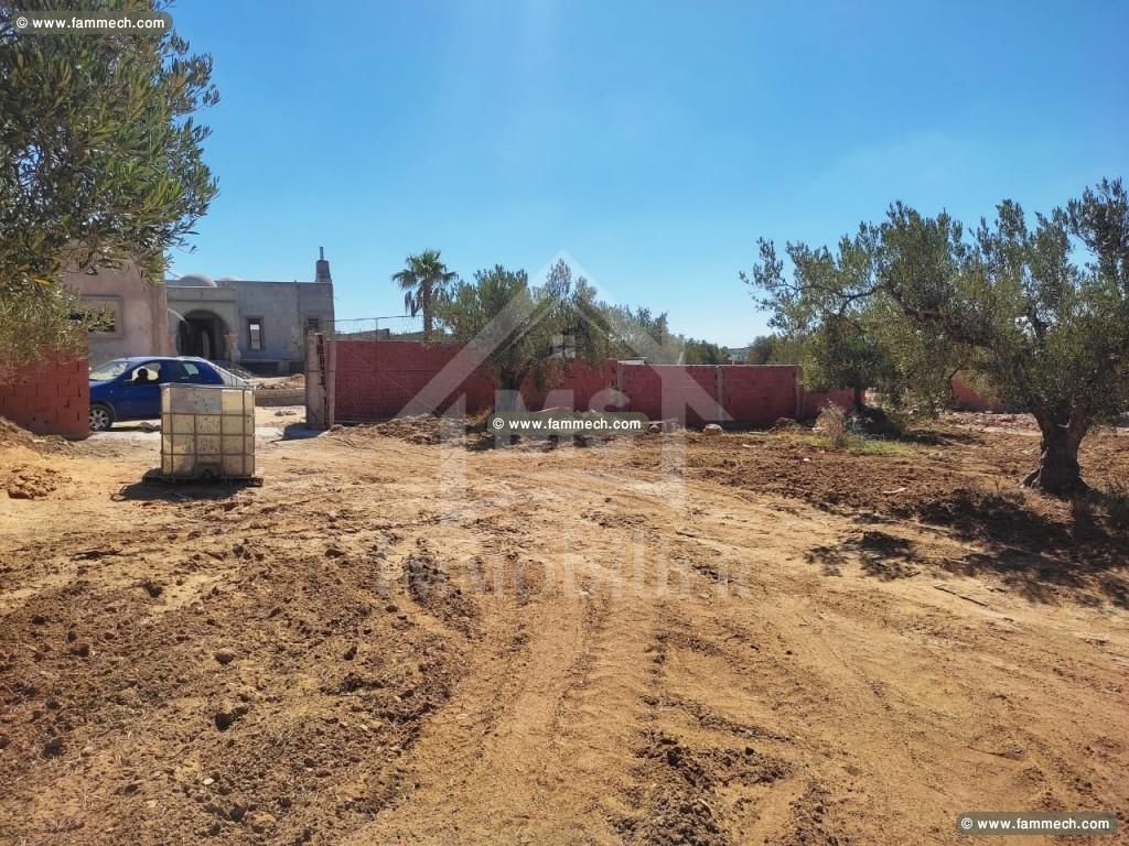 Superbe terrain à vendre à Hammamet Sud 51355351