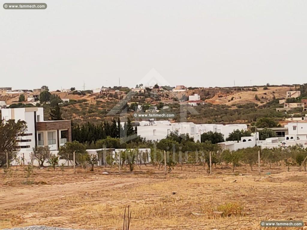 Superbe terrain à vendre à Hammamet Sud 51355351