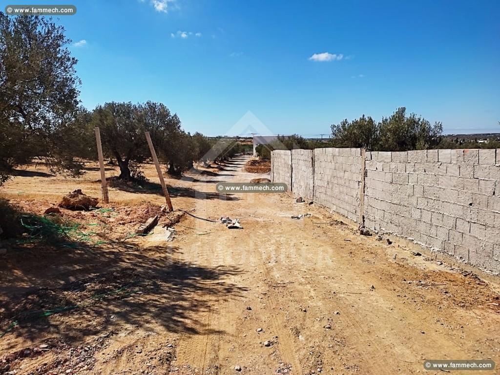 Superbe terrain à vendre à Hammamet Sud 51355351