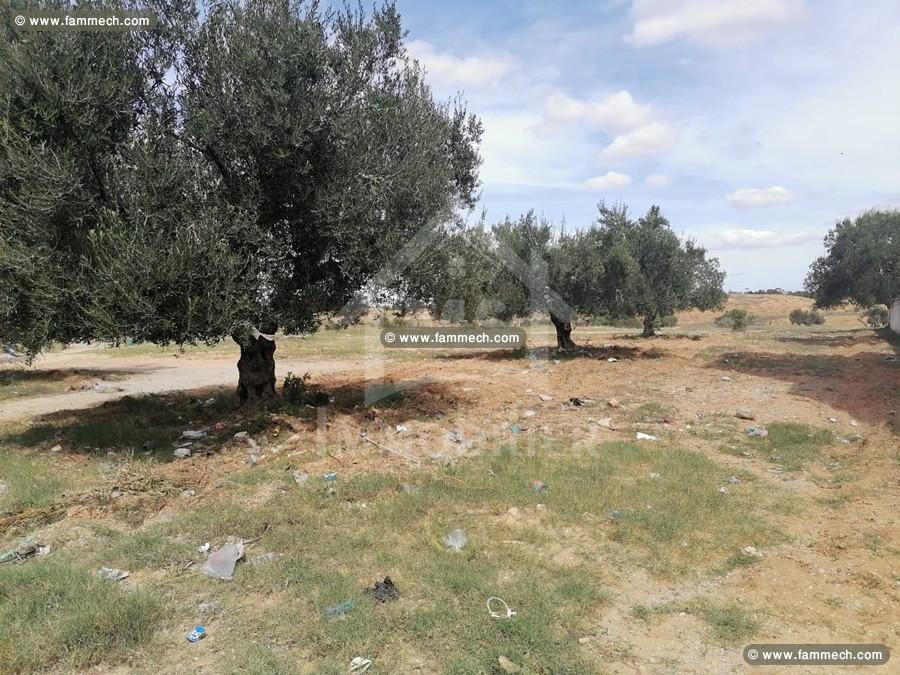 Superbe terrain avec autorisation de bâtir vendre 