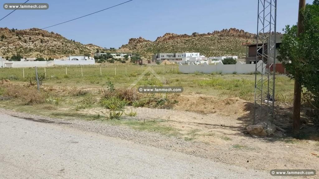 Superbe terrain de 1000 m² à vendre à 185 MD 
