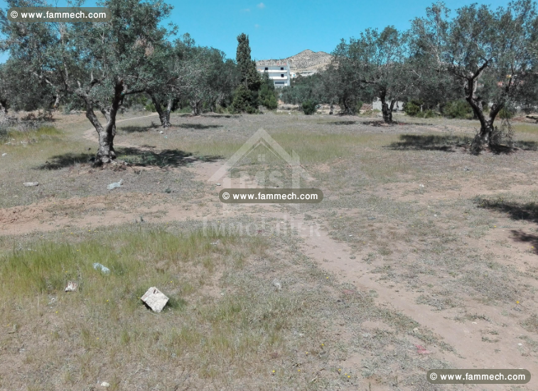 Superbe terrain de 650 m² à vendre à Mrezga 