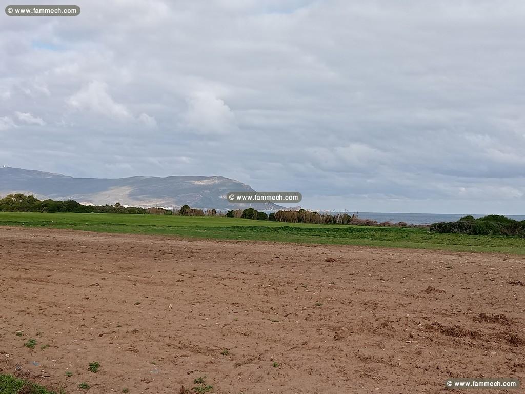 superbes lot de terrain au plage de dar Allouche 