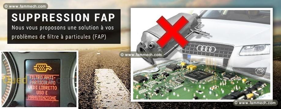 Suppression Filtres à particules ( FAP / EGR )