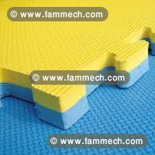 Tatami puzzle