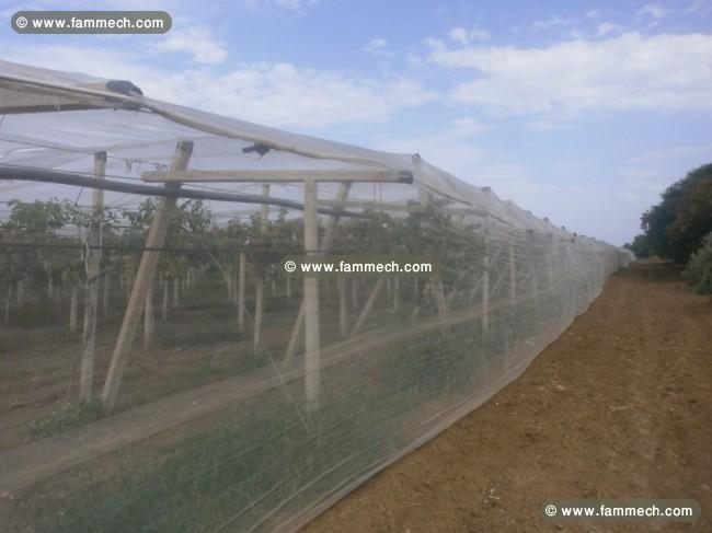terain agricole