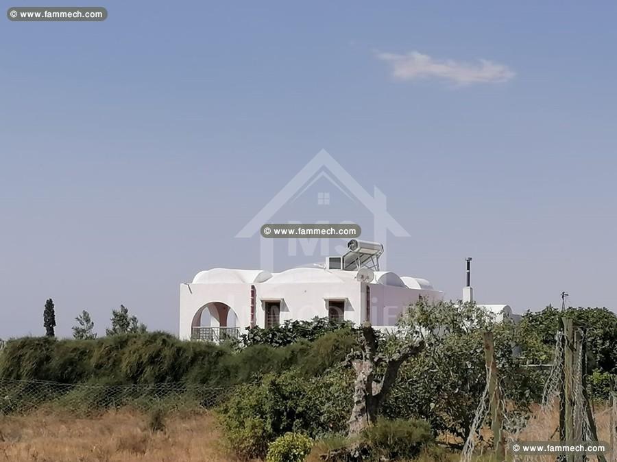 TERRAIN   A VENDRE  a birbouragba 