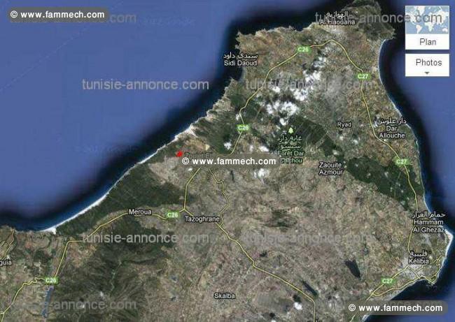 Terrain 10 hectares a l indivision