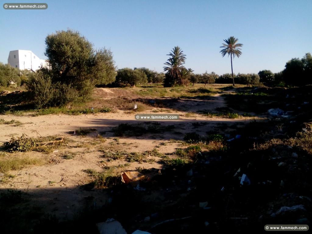 Terrain 1100m2 à Midoun Jerba