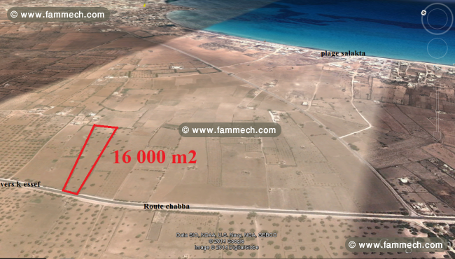 Terrain 16,000m (10 Mrajea) Ksour-esseF Route Sfax