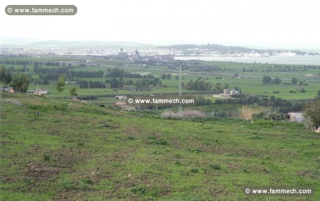 TERRAIN 30 DINARS LE M²