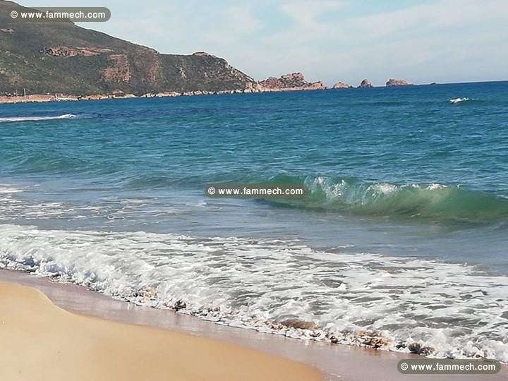 Terrain 300m² vue sur mer a El Haouaria 